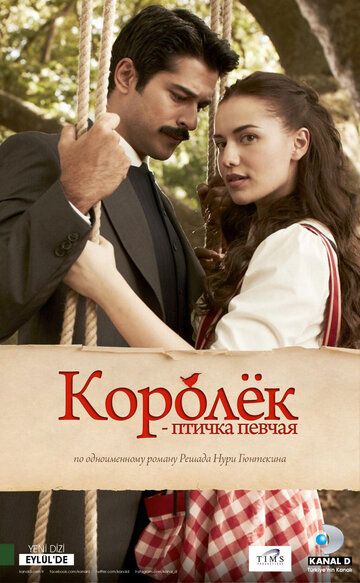 Королёк - птичка певчая (2013)